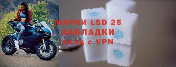 хмурый Белокуриха