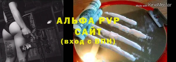 хмурый Белокуриха
