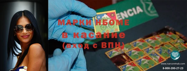 хмурый Белокуриха