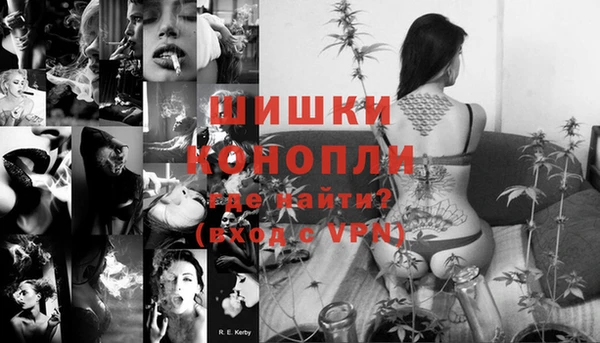 хмурый Белокуриха
