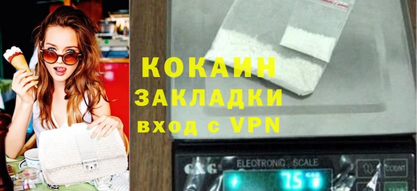 хмурый Белокуриха